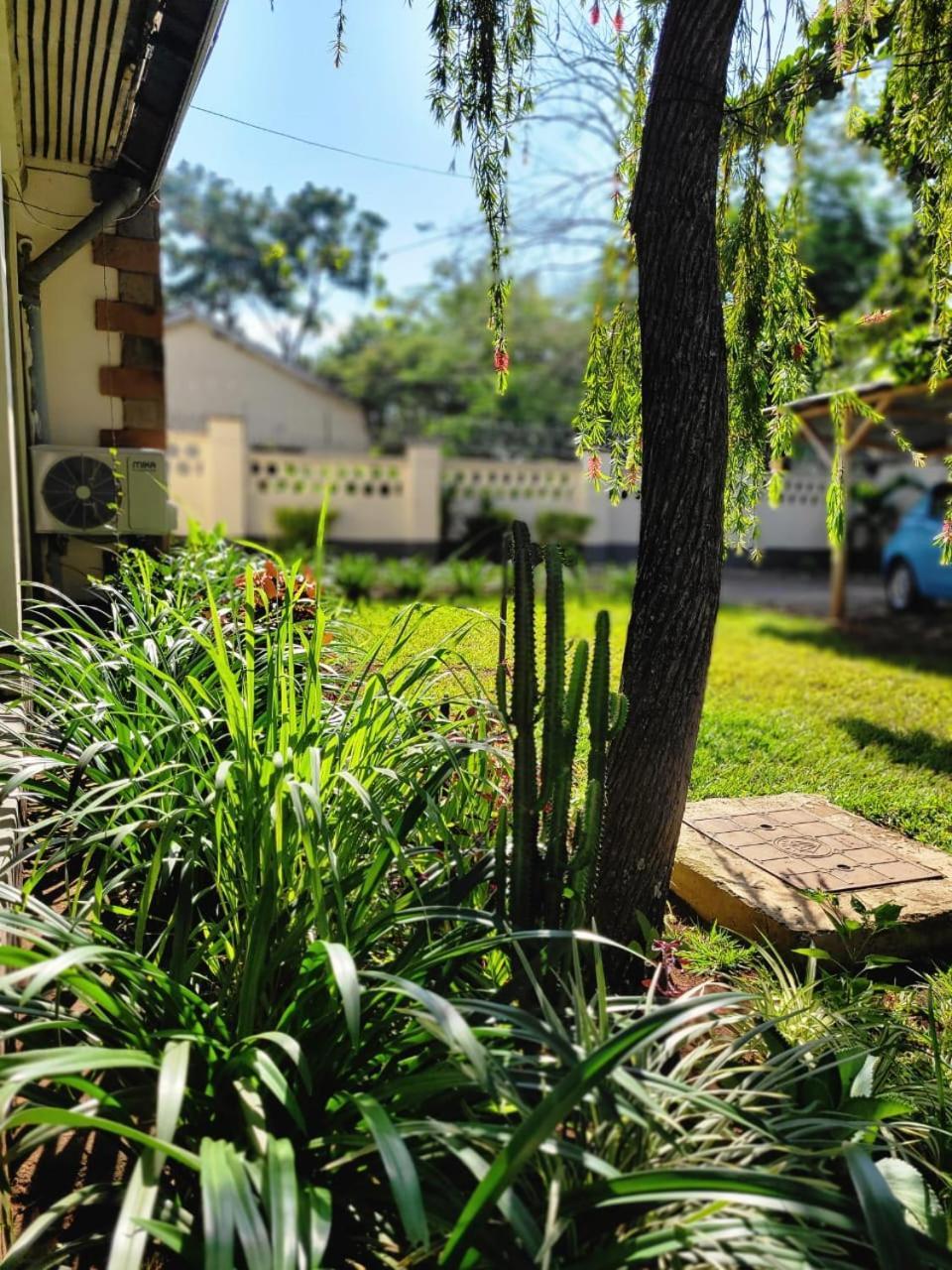 Annodas Homes Milimani Kisumu Bagian luar foto